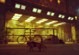 Stray (Import)