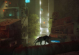 Stray (Import)