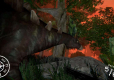 Acre Crisis (Import)