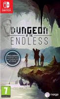 Dungeon of The Endless NS
