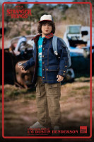 Stranger Things Action Figure 1/6 Dustin Henderson 23 cm Hobby
