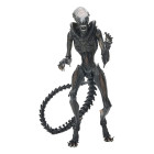 Alien: Romulus Ultimate Action Figure Scorched Xenomorph 18 cm Hobby