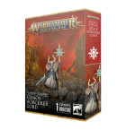 Age of Sigmar: Slaves to Darkness Sorcerer Lord Hobby