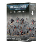 Armageddon Battalion: Adepta Sororitas Hobby