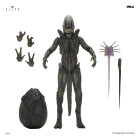 Alien: Earth Ultimate Figurka Xenomorph 18 cm Hobby