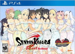 SENRAN KAGURA Burst Re:Newal At the Seams Edition