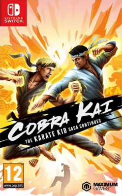 Cobra Kai The Karate Kid Saga Continues