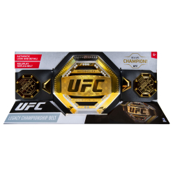 UFC PAS MISTRZOWSKI