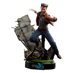 X-Men Days of Future Past 1/6 Wolverine (1973 Version) Deluxe 30 cm