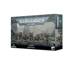 Necrons Warriors