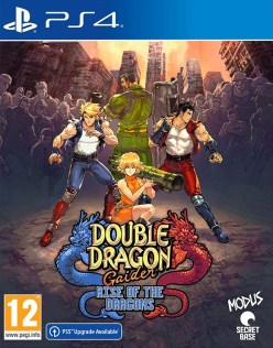 Double Dragon Gaiden Rise of the Dragons