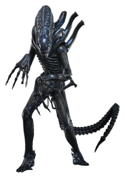 Alien Movie Masterpiece Figurka 1/6 Alien Warrior (Deluxe Version) 39 cm