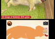 Nintendogs French Bulldog + Cats Select