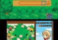 Harvest Moon A Tale of Two Towns