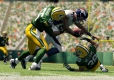 Madden NFL 25