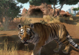 Zoo Tycoon PL