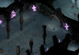 Pillars of Eternity PL