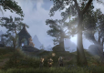 The Elder Scrolls Online Gold Edition