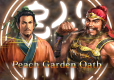 Romance of the Three Kingdoms XIII