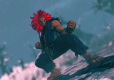 Street Fighter V - Season 2 Character Pass (PC) PL DIGITAL