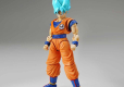 DRAGON BALL SUPER SAIYAN GOD SUPER SAIYAN SON GOKU Figure-rise Standard