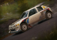 DiRT Rally (PC/MAC/LX) DIGITAL