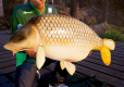 Fishing Sim World Pro Tour Collectors Edition