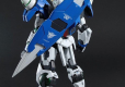 PG 1/60 00 RAISER