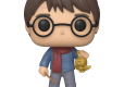 Harry Potter POP! Vinyl Figure Holiday Harry Potter 9 cm
