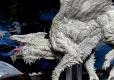 D&D Icons of the Realms Premium Miniature pre-painted Adult White Dragon