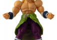 DRAGON BALL SUPER EVOLVE SUPER SAIYAN BROLY