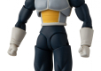 DRAGON BALL SUPER EVOLVE SUPER SAIYAN BLUE VEGETA