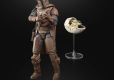 Star Wars The Mandalorian Black Series Action Figure 2021 The Mandalorian & Grogu Arvala-7 15 cm