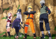 Naruto Shippuden Ultimate Ninja Storm 4 Road To Boruto + Shinobi Strike