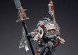 Warhammer 40k Action Figure 1/18 Grey Knights Terminator Jaric Thule 13 cm