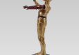 Star Wars Episode VII Elite Collection Statue C-3PO #3 Red Arm 18 cm