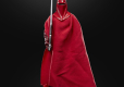 Star Wars Episode VI 40th Anniversary Black Series Action Figure Emperor's Royal Guard 15 cm