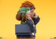 Street Fighter PVC Statues 1/10 Blanka & Fei Long 21 cm