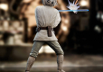 Star Wars Episode IV Milestones Statue 1/6 Luke Skywalker Training 30 cm