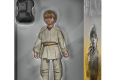 Star Wars Episode I Black Series Action Figure Anakin Skywalker 15 cm