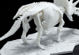 DINOSAUR MODEL KIT LIMEX SKELETON - TRICERATOPS