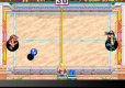 Windjammers, Karnov & Friends