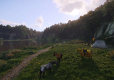 Kingdom Come : Deliverance II ANG/PL