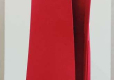 Osłona konsoli Cosmic Red Fat