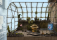 Boxville (Import)