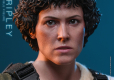 Alien Movie Masterpiece Figurka 1/6 Ellen Ripley 30 cm
