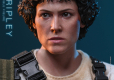 Alien Movie Masterpiece Figurka 1/6 Ellen Ripley 30 cm