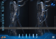 Alien Movie Masterpiece Figurka 1/6 Alien Warrior 39 cm