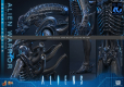 Alien Movie Masterpiece Figurka 1/6 Alien Warrior (Deluxe Version) 39 cm