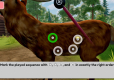 Sophia's Animal Clinic